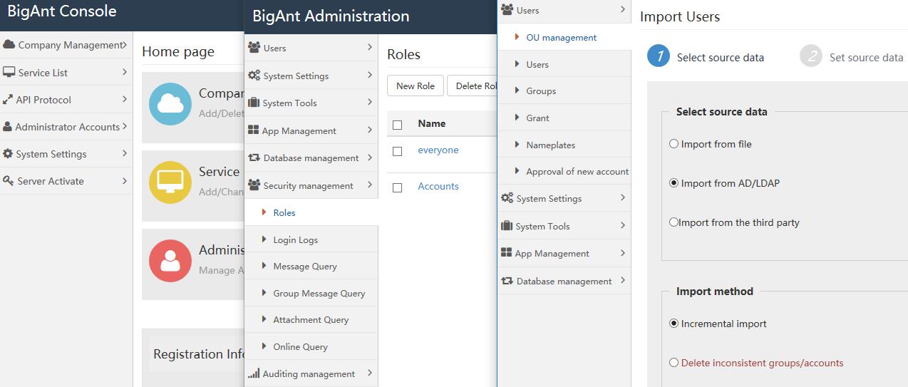 Bigant Office Messenger Server Cracked