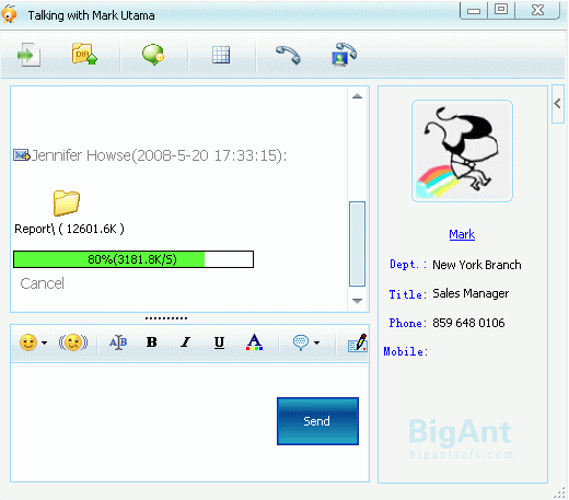 Big Ant corporate Lan Messenger 2.92 full Big Ant corporate Lan Messenger 2.92 full